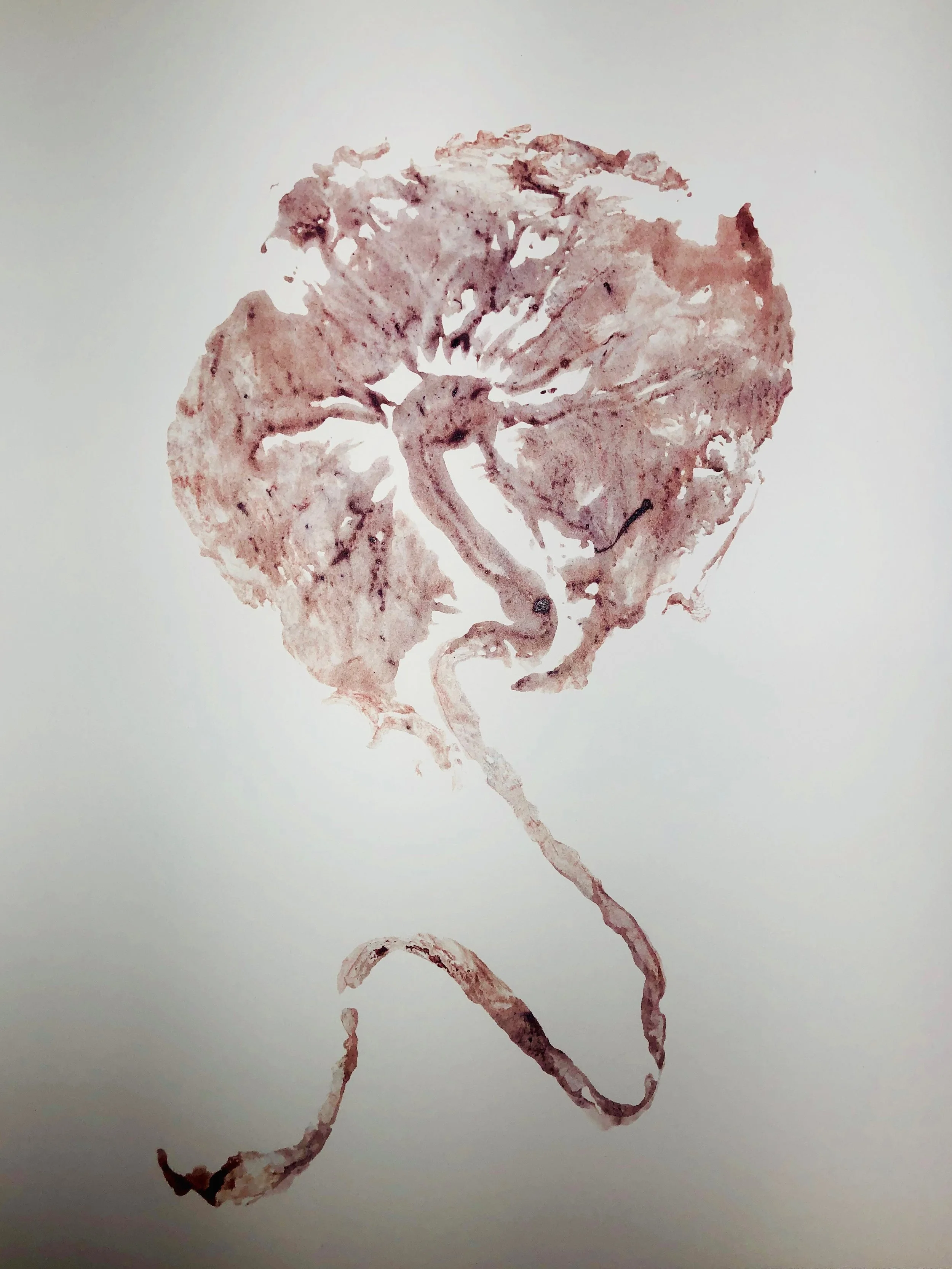 placenta print 5.jpg