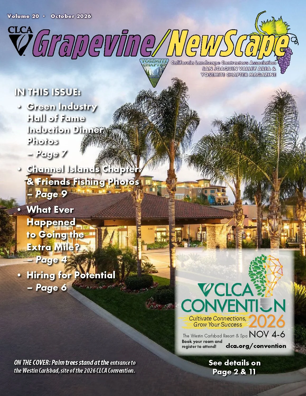 Grapevine/NewScape Magazine
