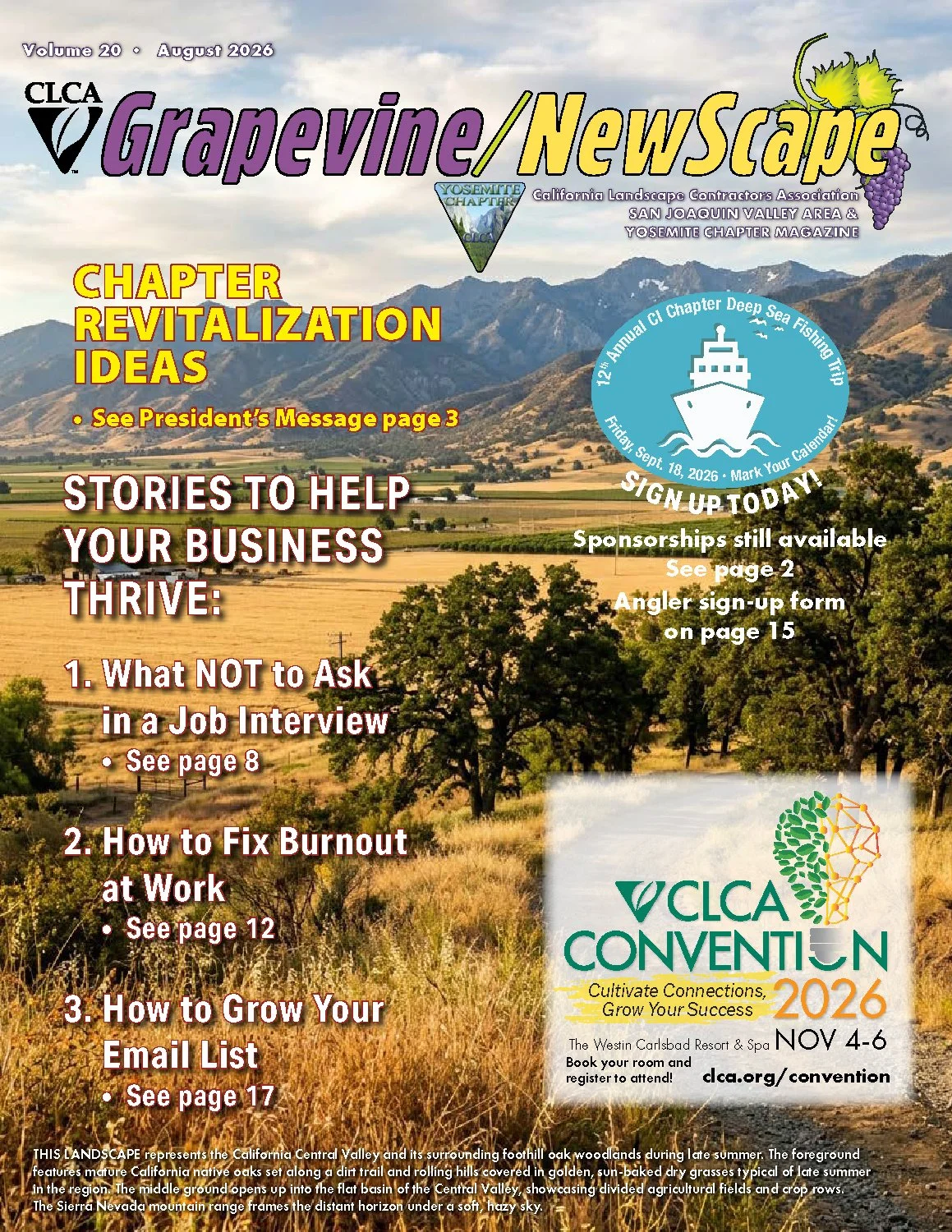 Grapevine/NewScape Magazine