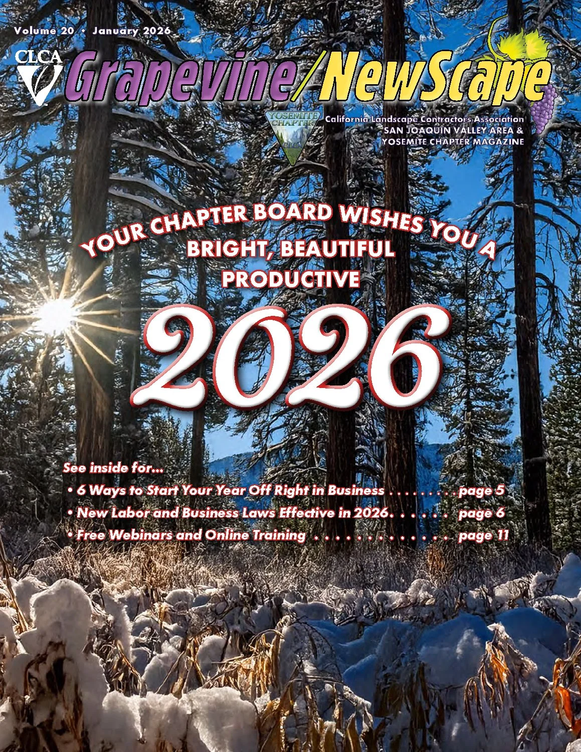 Grapevine/NewScape Magazine