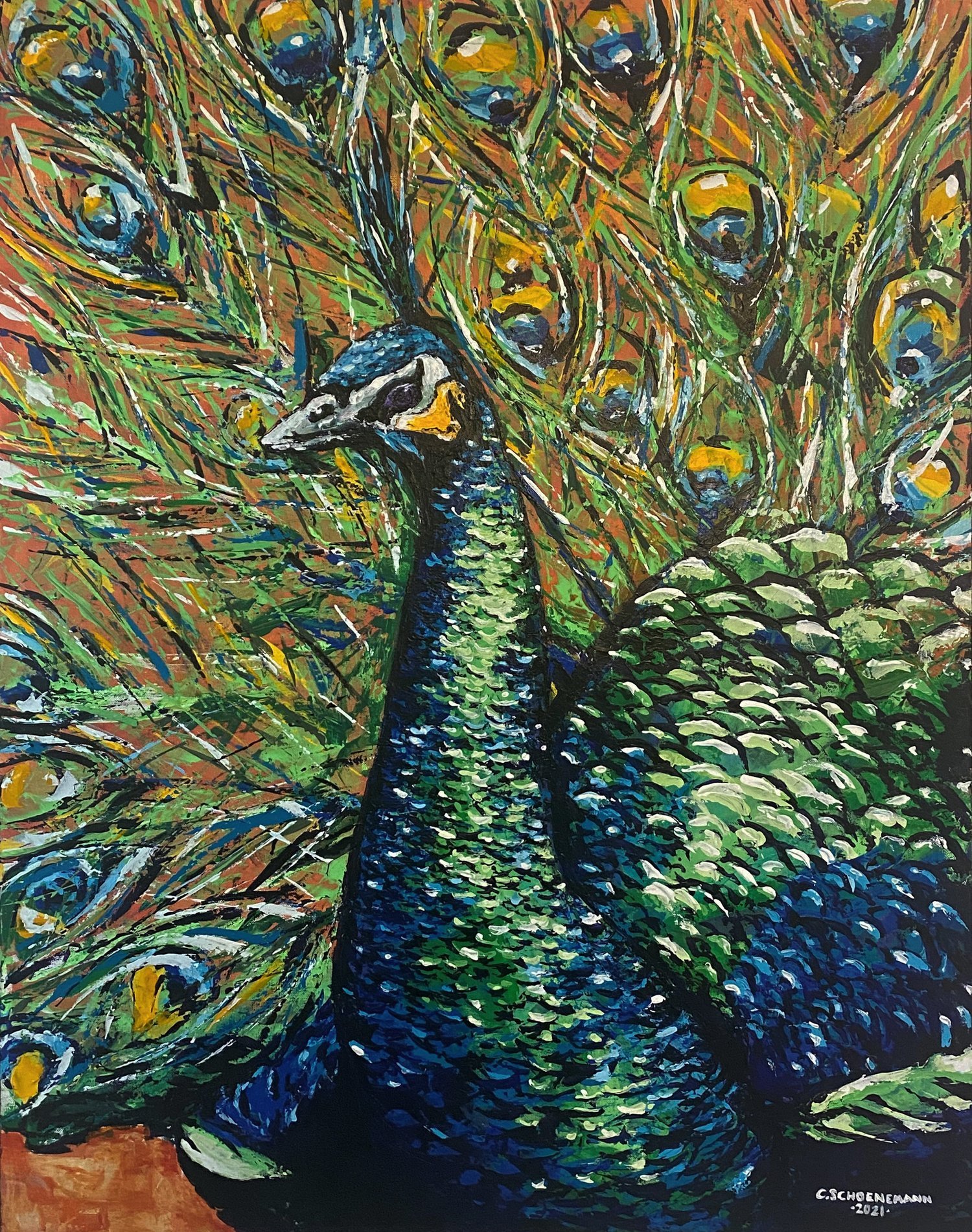 KING PEACOCK