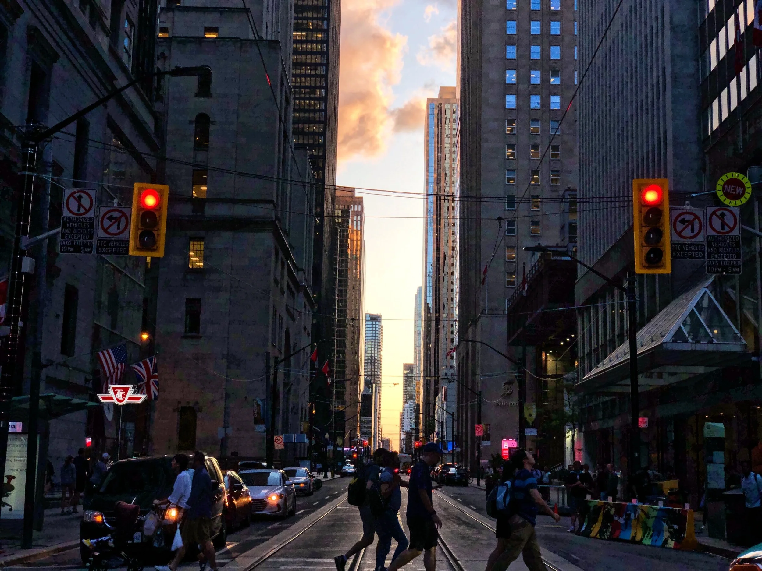 How do we keep our connection to nature in these big urban cities. Observing the human landscape as part of the natural world. Towering skyscrapers and bustleing crowds in New York