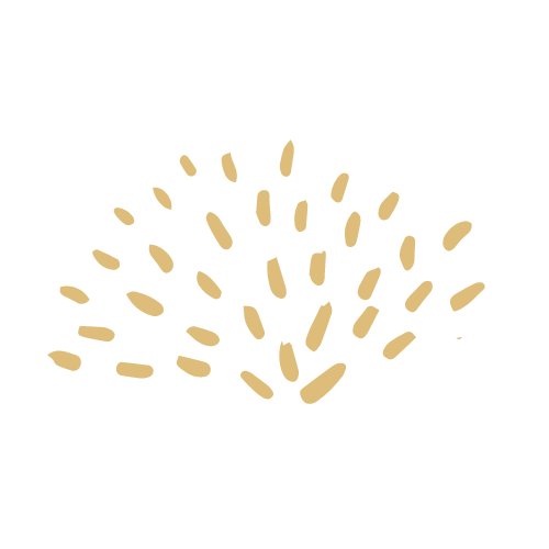 Stylized illustration of a fireworks explosion with beige sparks on a black background.