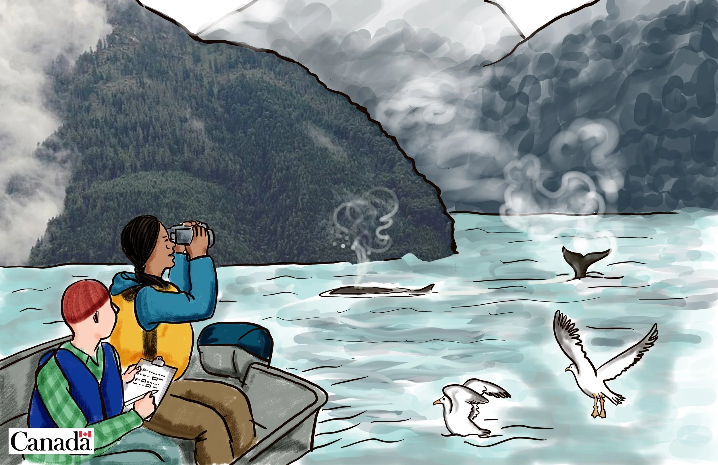 DFO Image Bank. Illustration: two guardians observe Orca from a speed boat