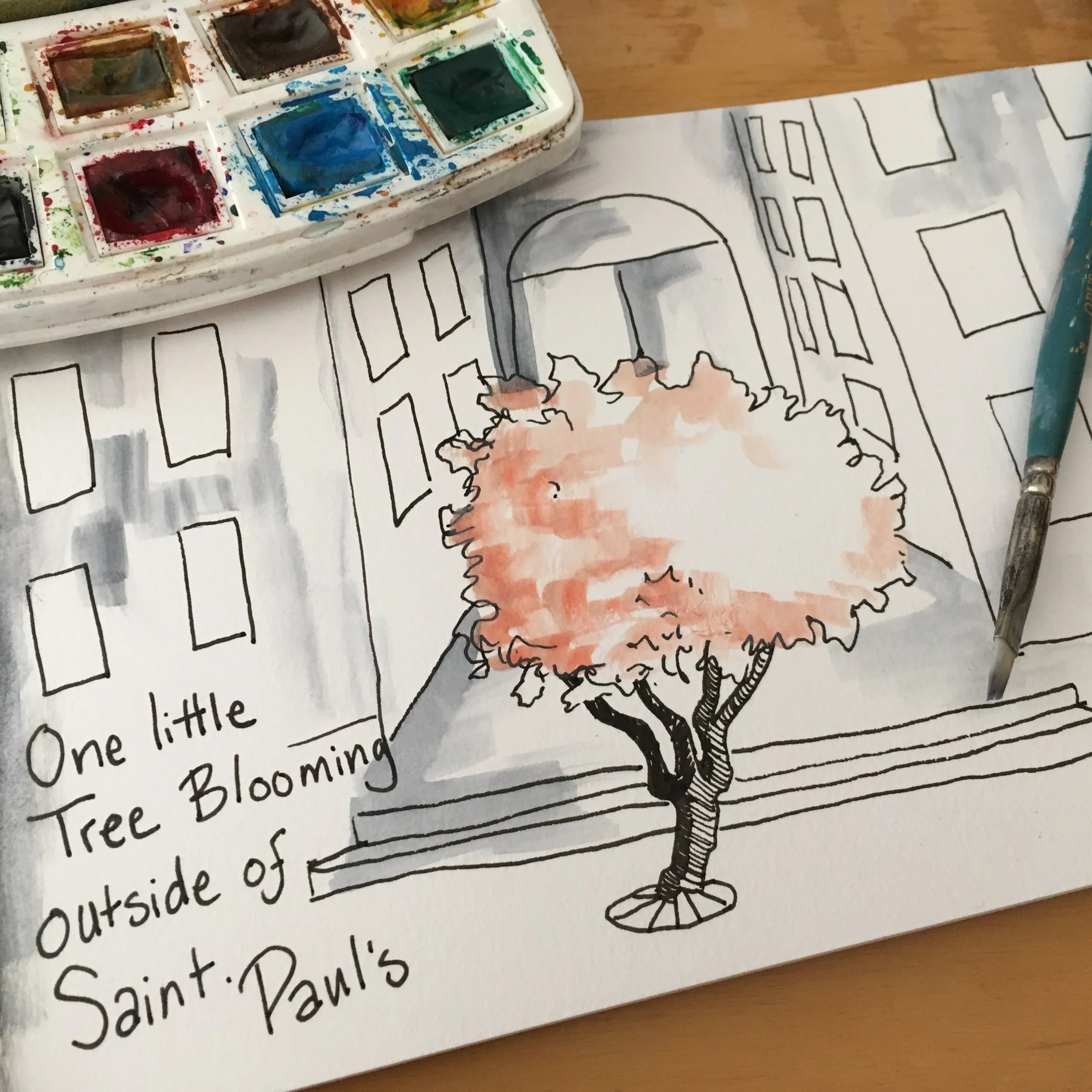 How to connect with nature in the city