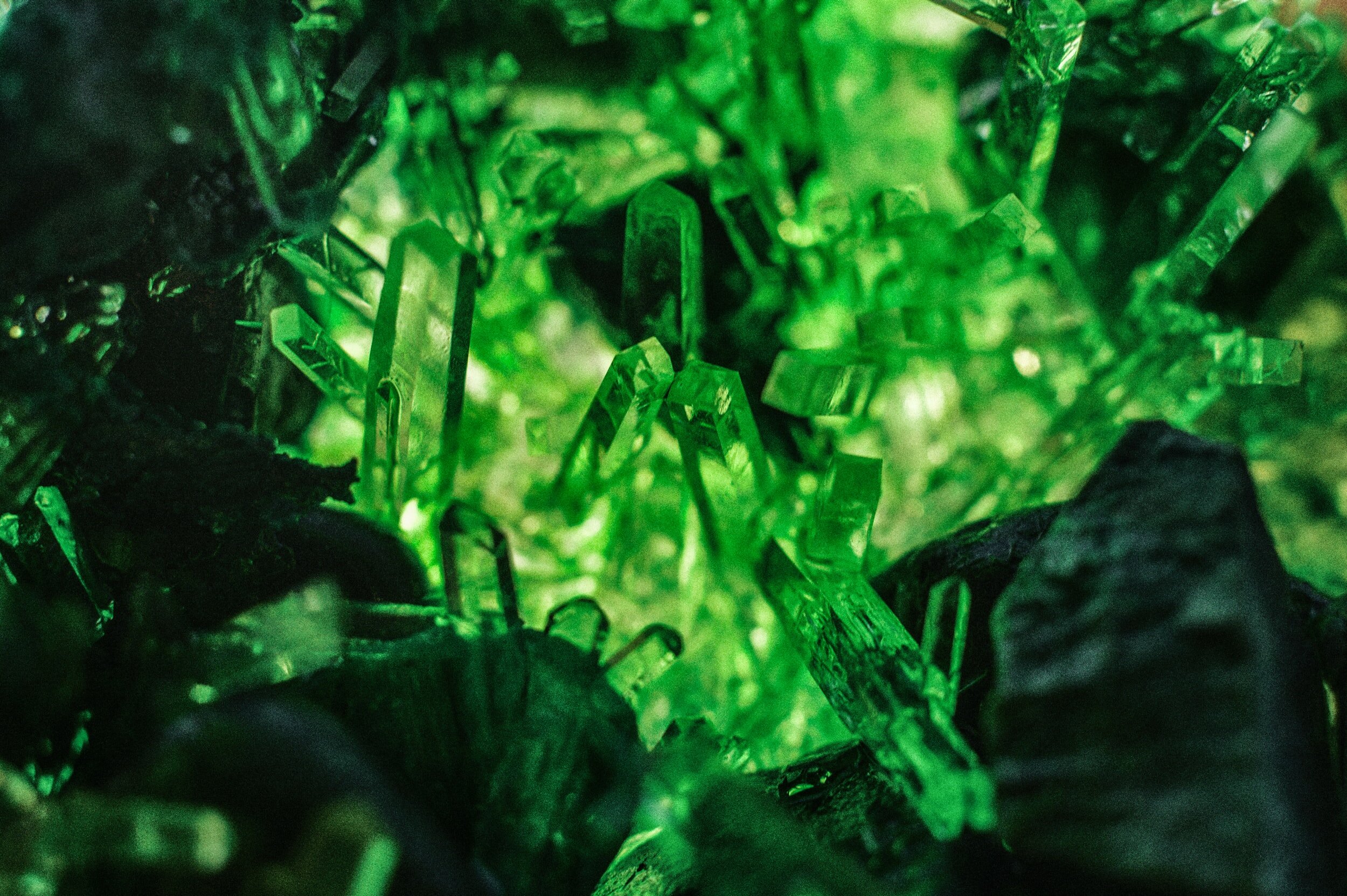 unsplash-image-ASgjGlruKCo.jpg