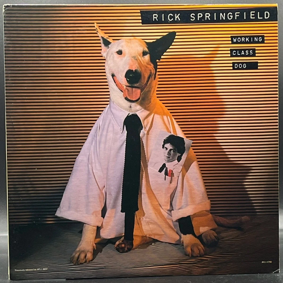 Rick Springfield - Working Class Dog