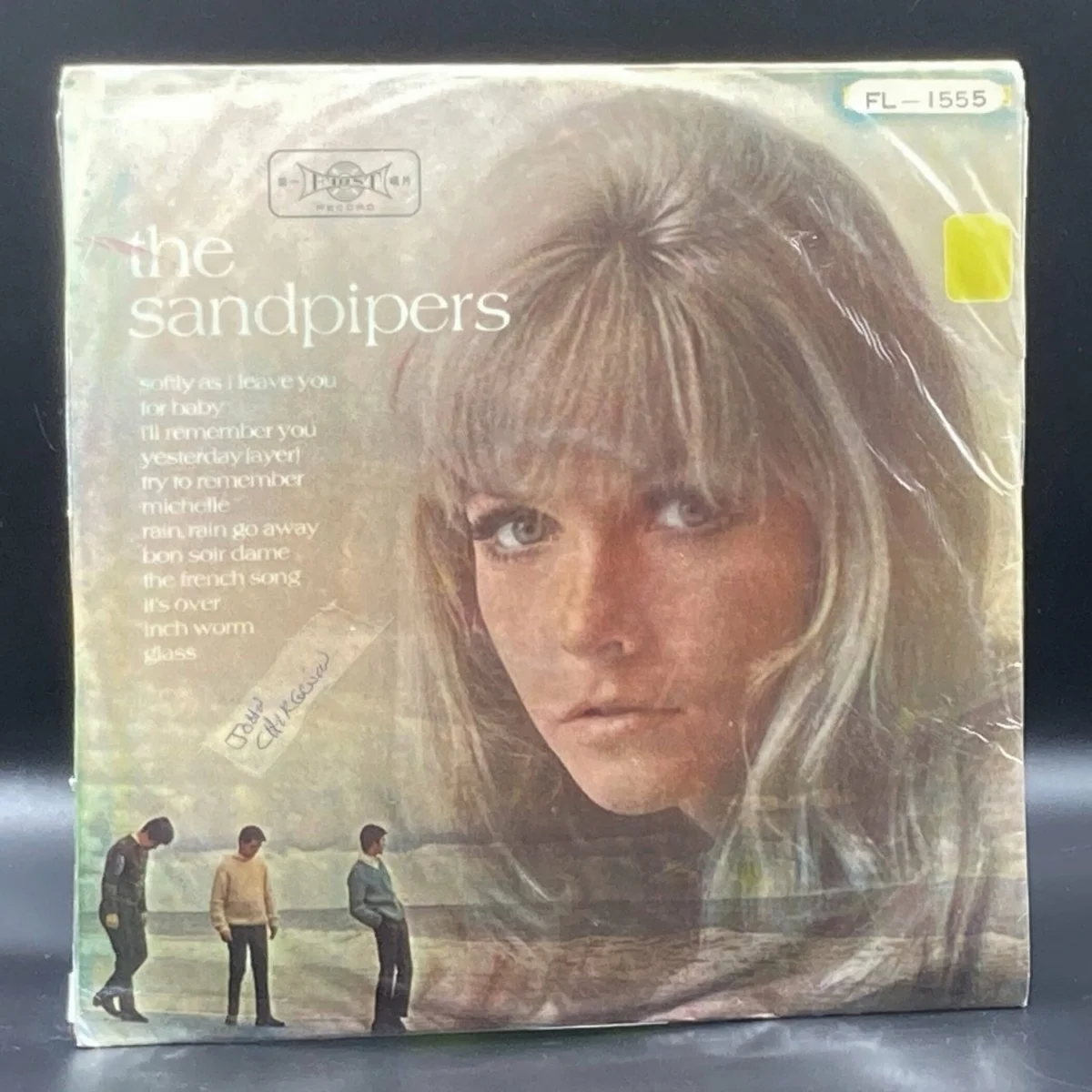 the-sandpipers-the-sandpipers-unofficial-479315.jpeg