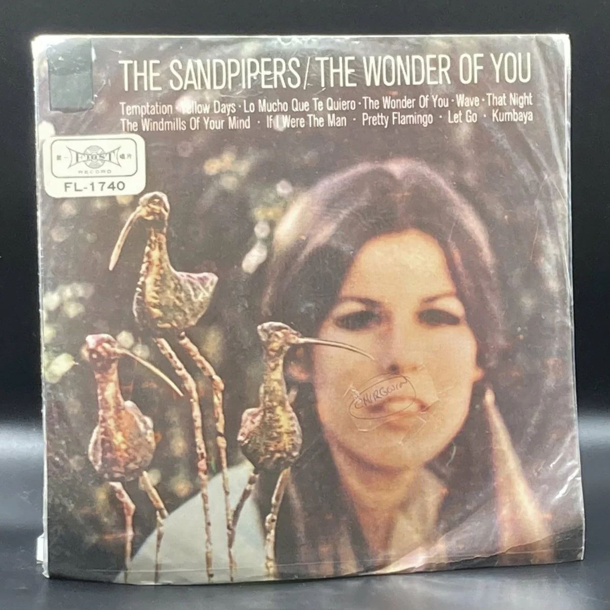 the-sandpipers-the-wonder-of-you-unofficial-249381.jpeg