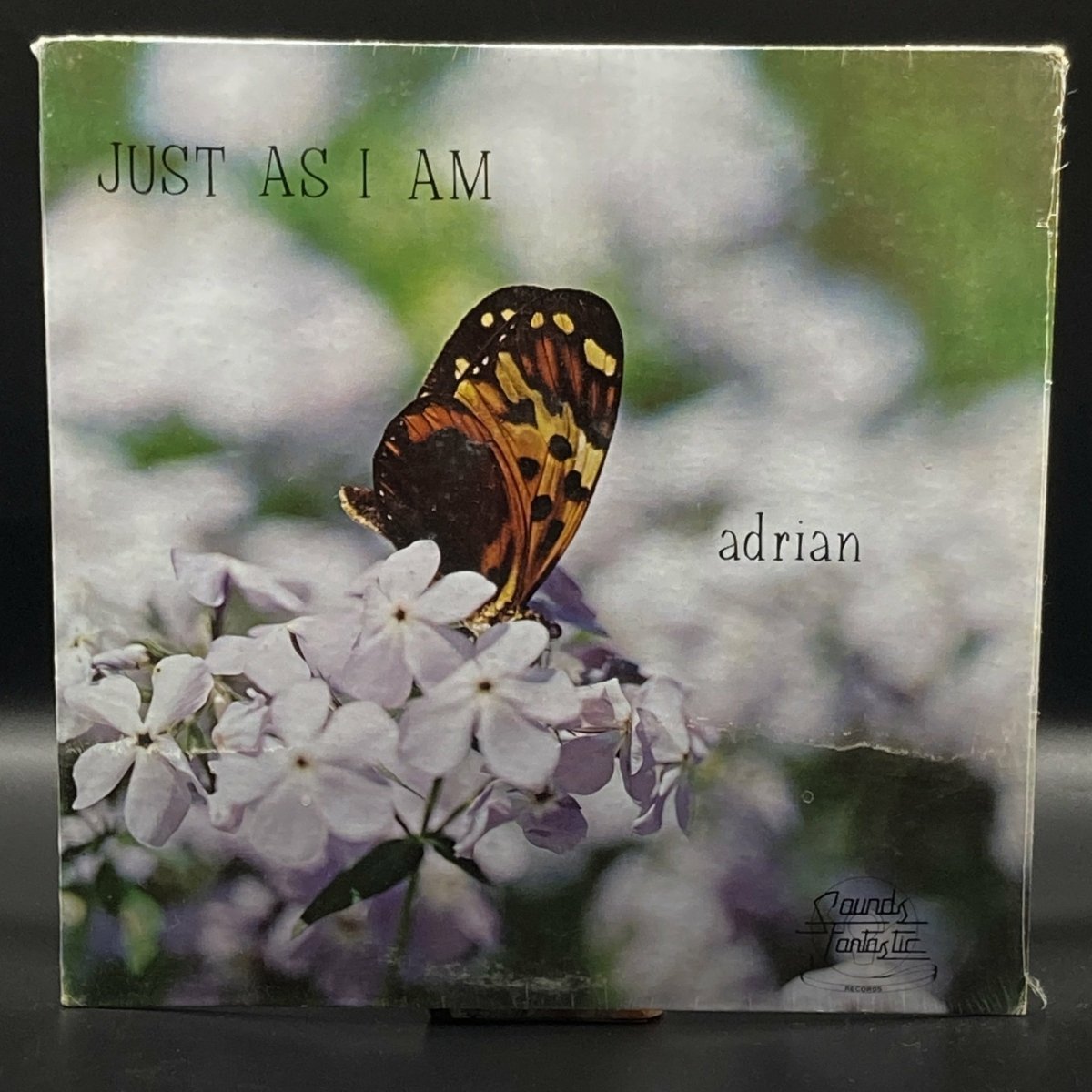 adrian-skelton-just-as-i-am-221783.jpeg