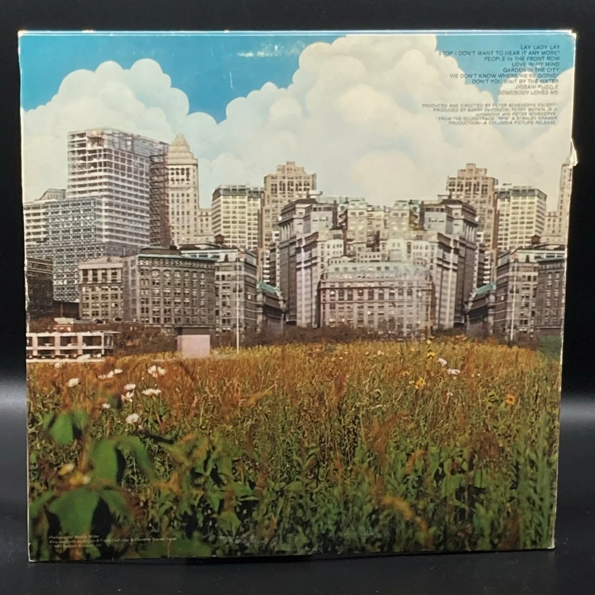 melanie-garden-in-the-city-625308.jpeg