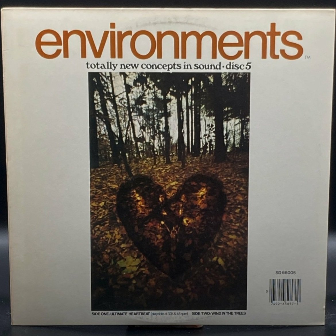 environments-v-806497.jpeg