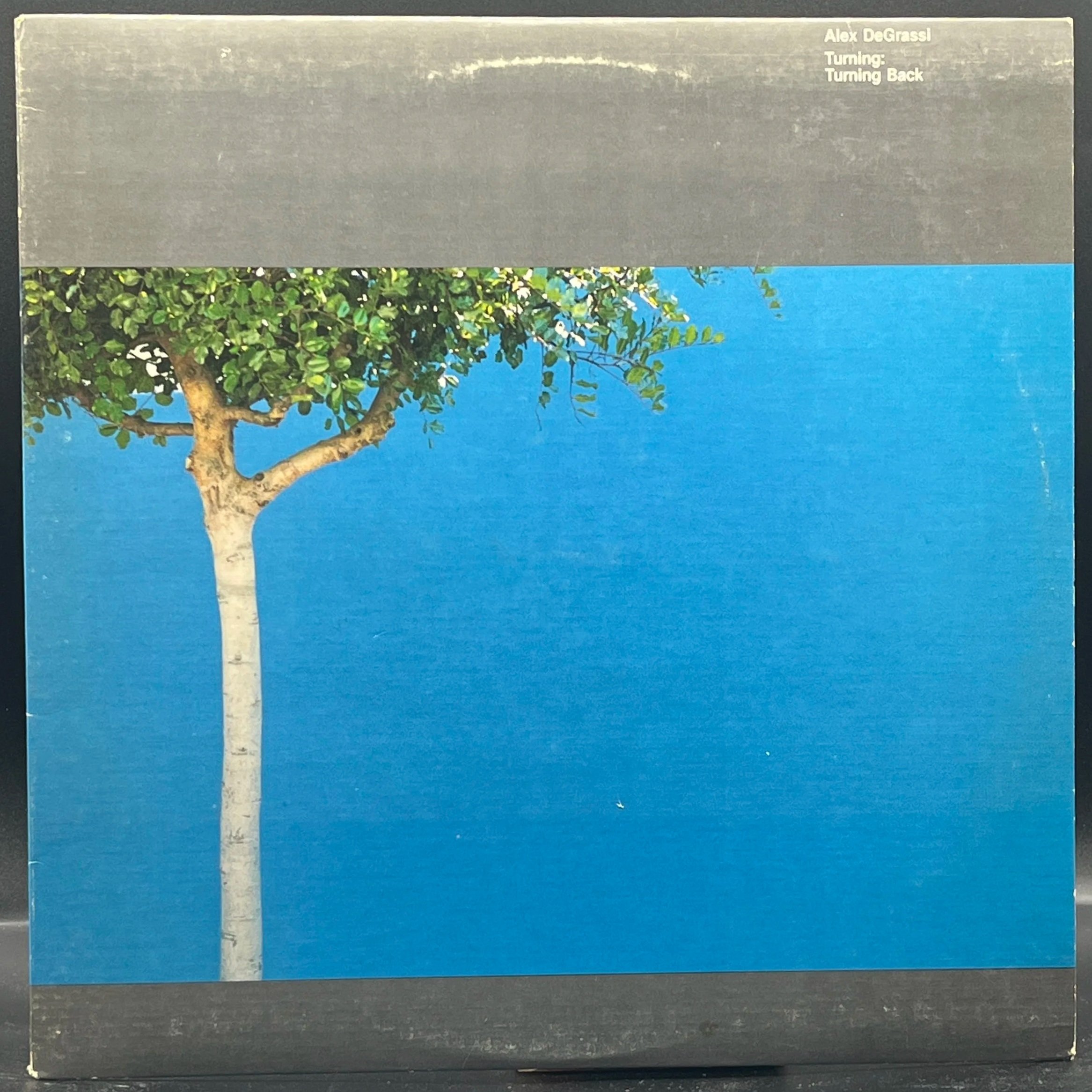 Alex de Grassi - Turning: Turning Back