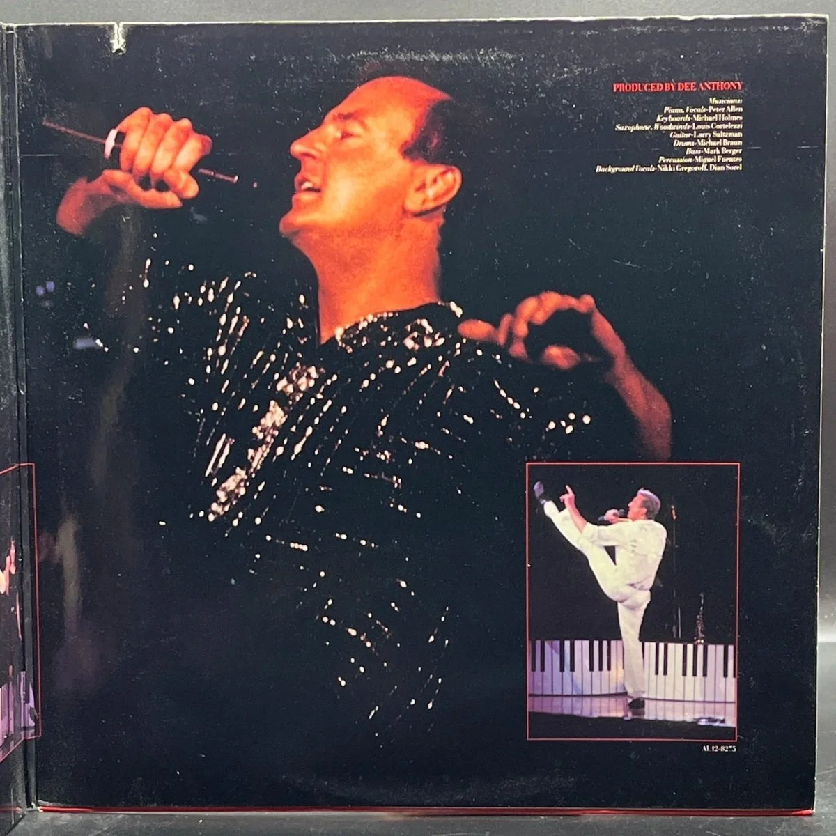 peter-allen-captured-live-at-carnegie-hall-487286.jpg