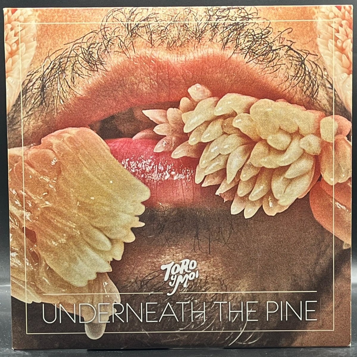Toro Y Moi - Underneath The Pine - Ominous Synths Records