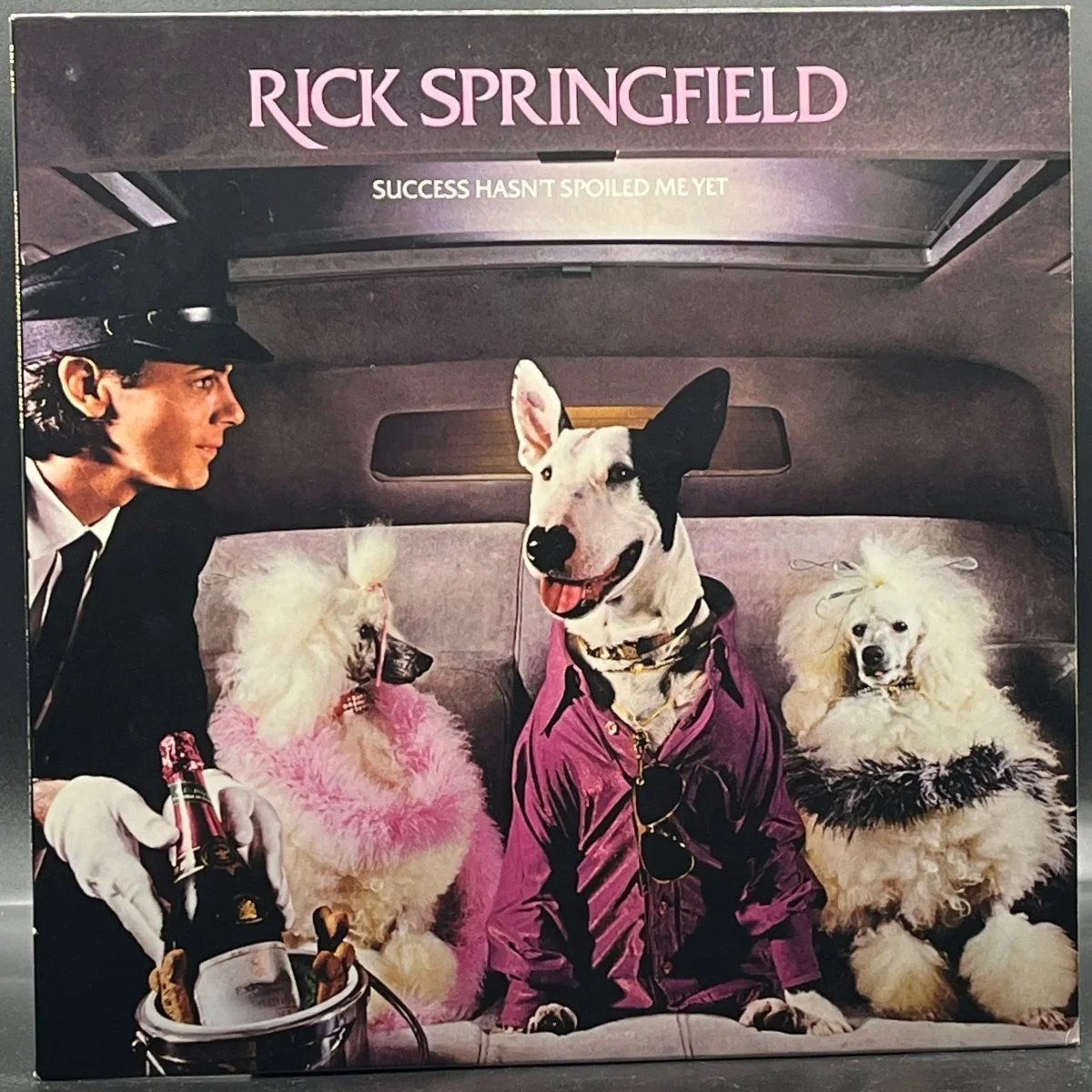 Rick Springfield - Success Hasn't Spoiled Me Yet