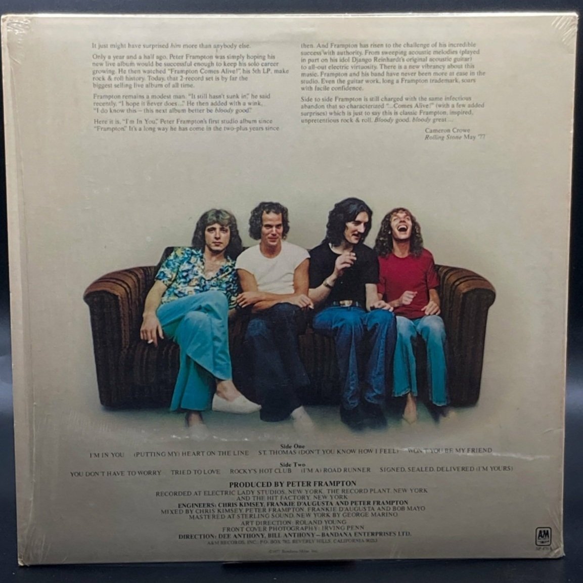 peter-frampton-im-in-you-251653.jpeg