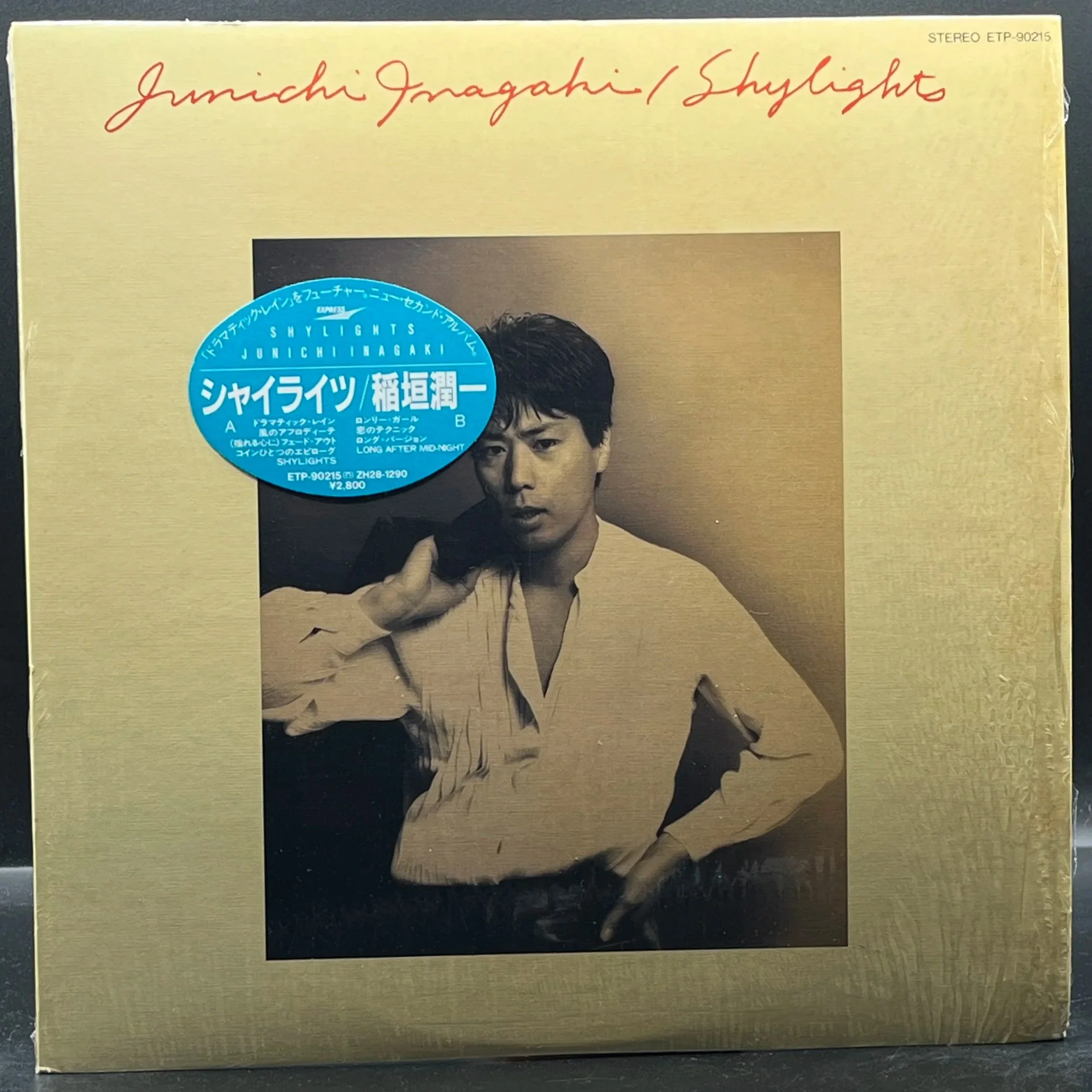 Junichi Inagaki - Shylights (稲垣潤一 - シャイライツ)