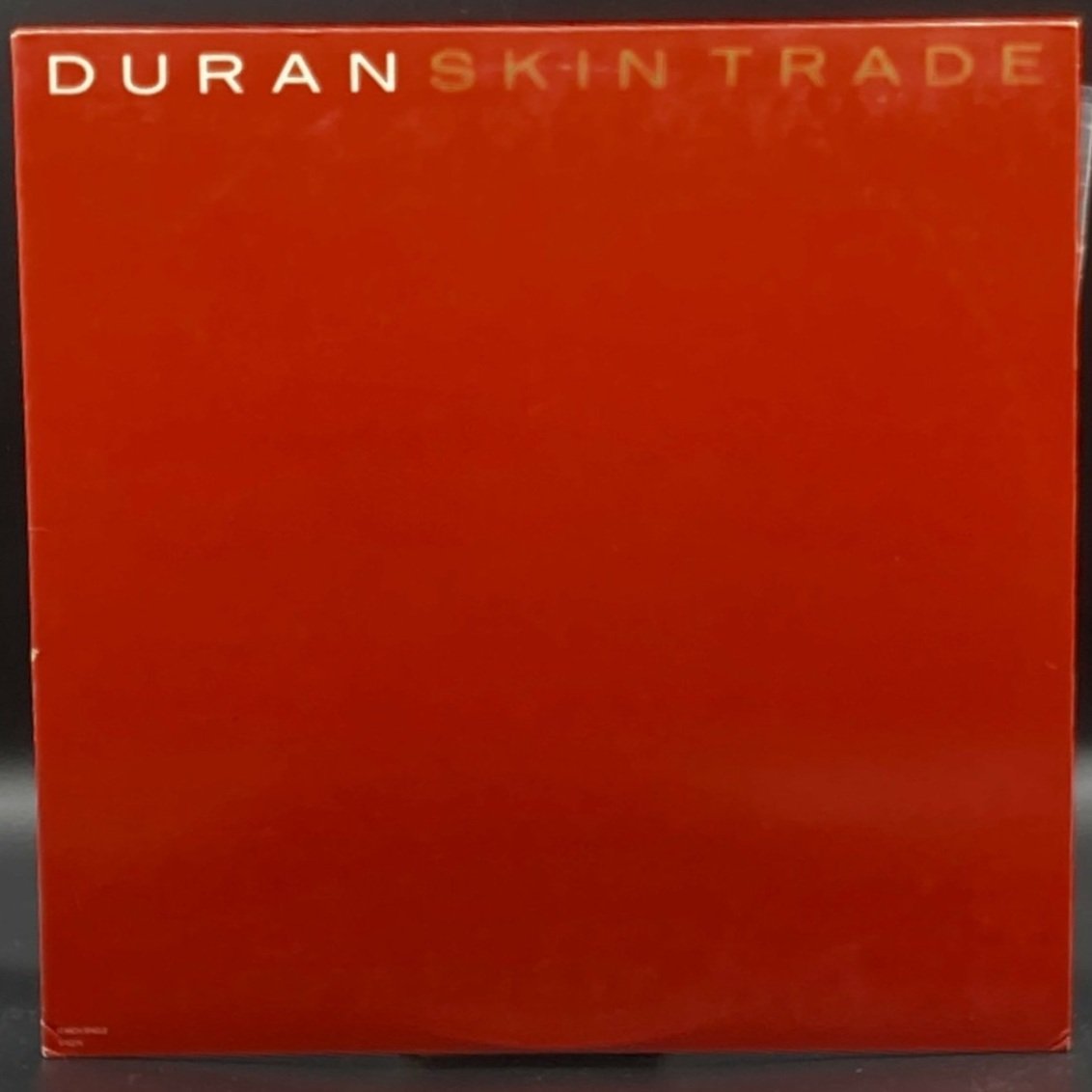 duran-duran-skin-trade-single-144344.jpeg