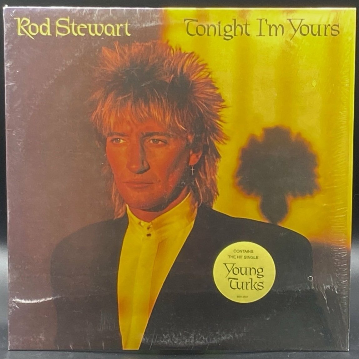 Rod Stewart - Tonight I'm Yours - Ominous Synths Records