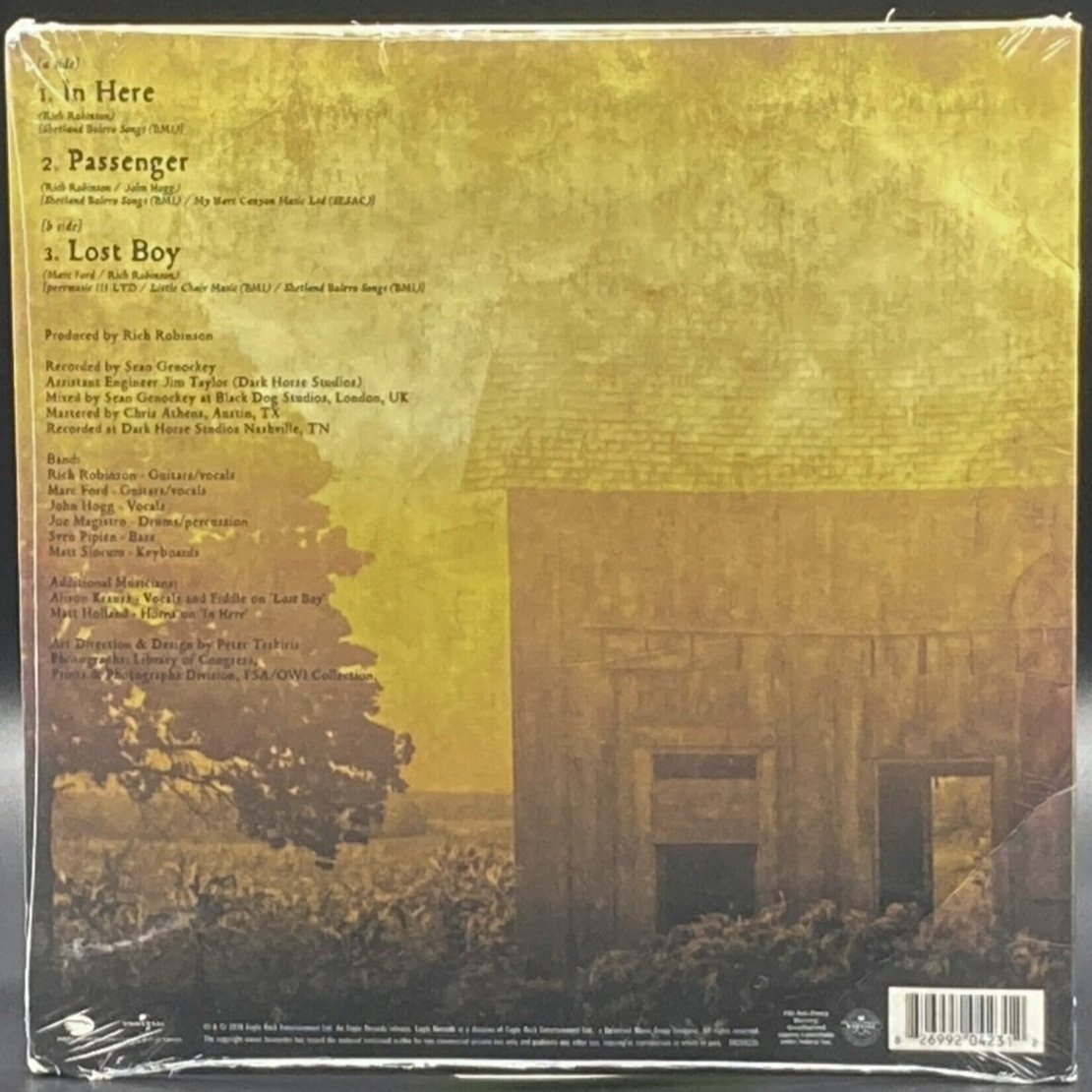 The Magpie Salute - In Here (10") - Ominous Synths Records