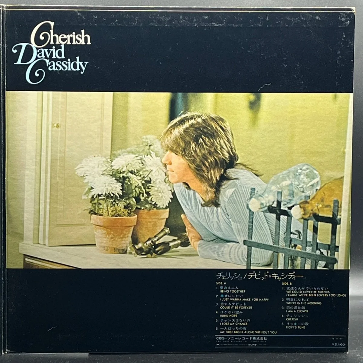 david-cassidy-cherish-828467.jpg