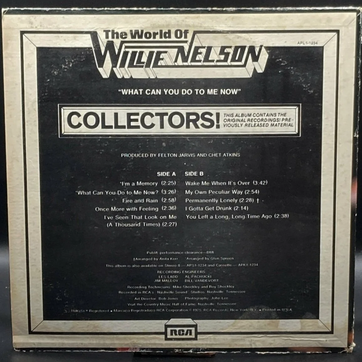 Willie Nelson - What Can You Do To Me Now - Ominous Synths Records