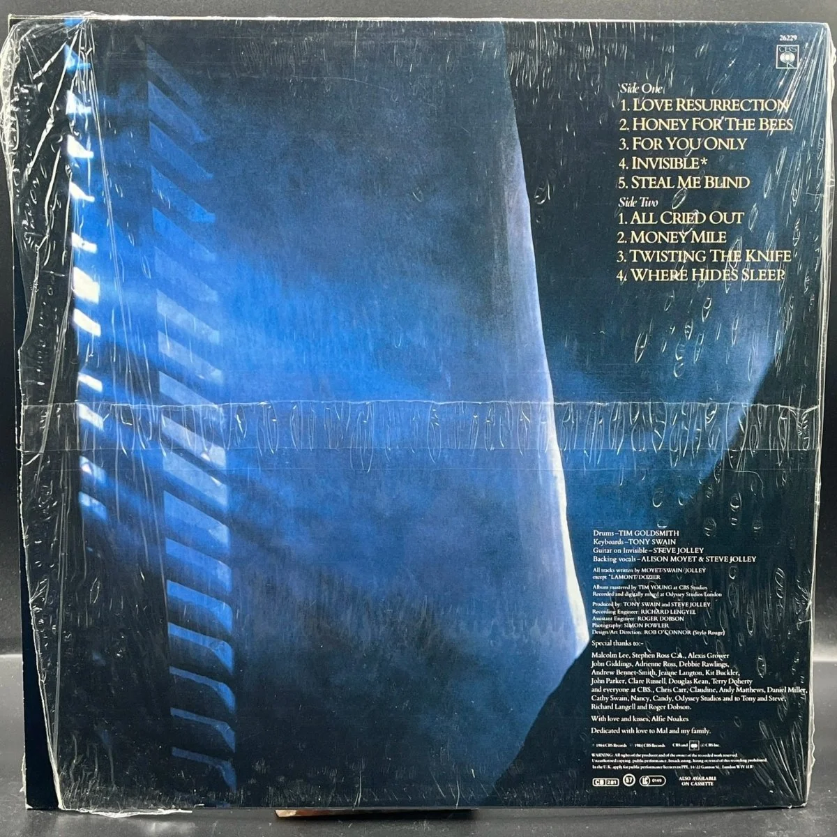 alison-moyet-alf-684109.jpg