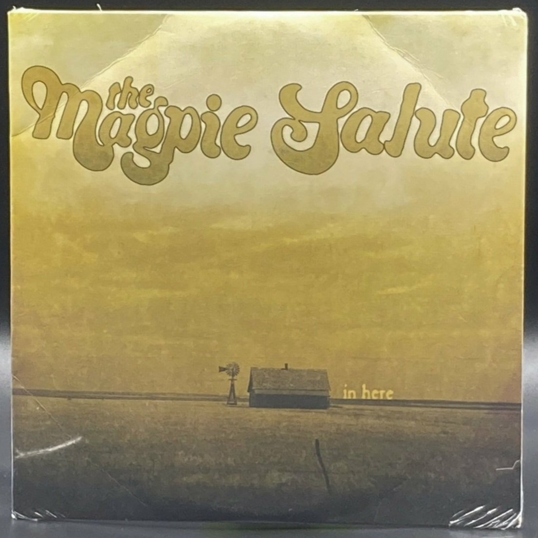 The Magpie Salute - In Here (10") - Ominous Synths Records