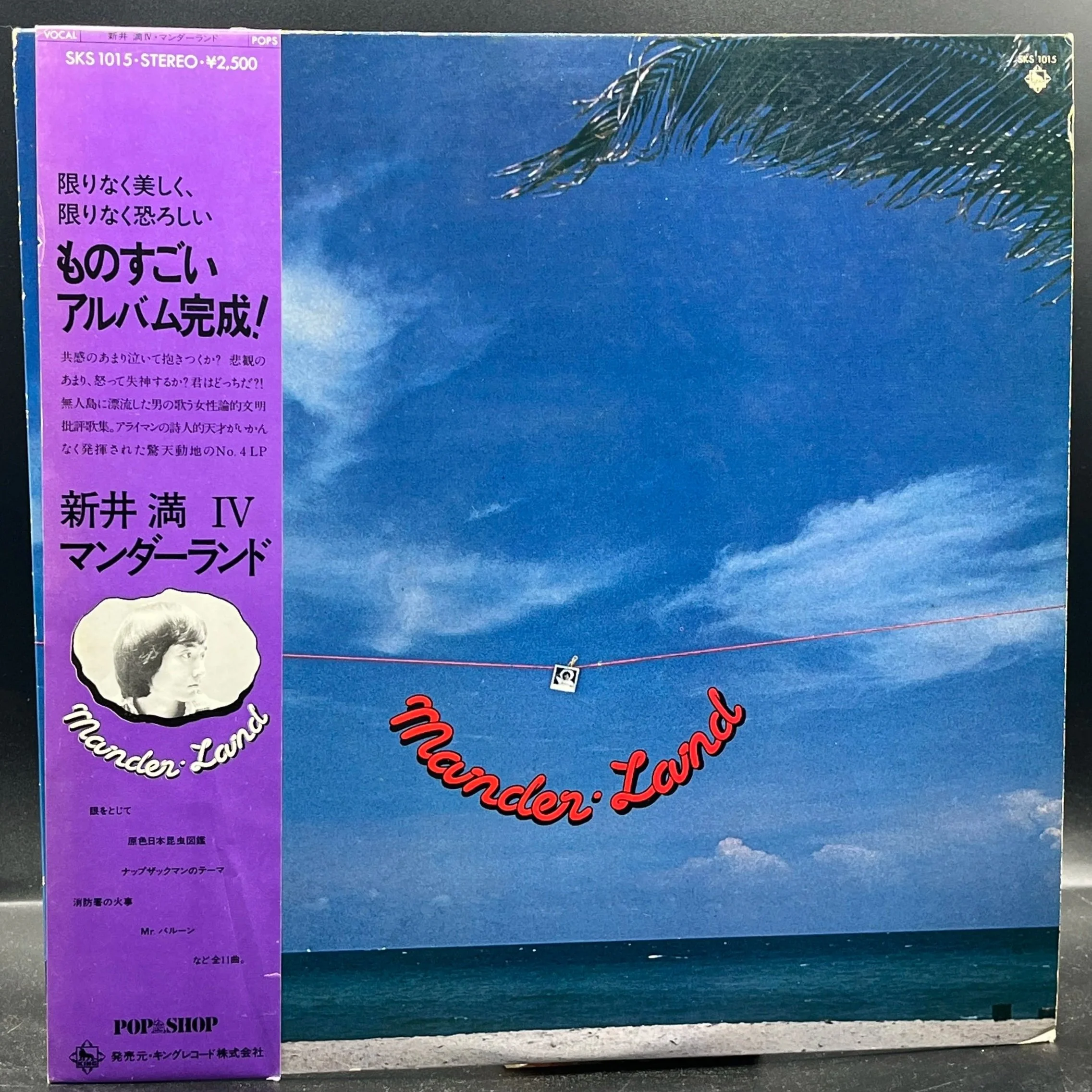 Man Arai - Mander Land (新井満 – マンダーランド)