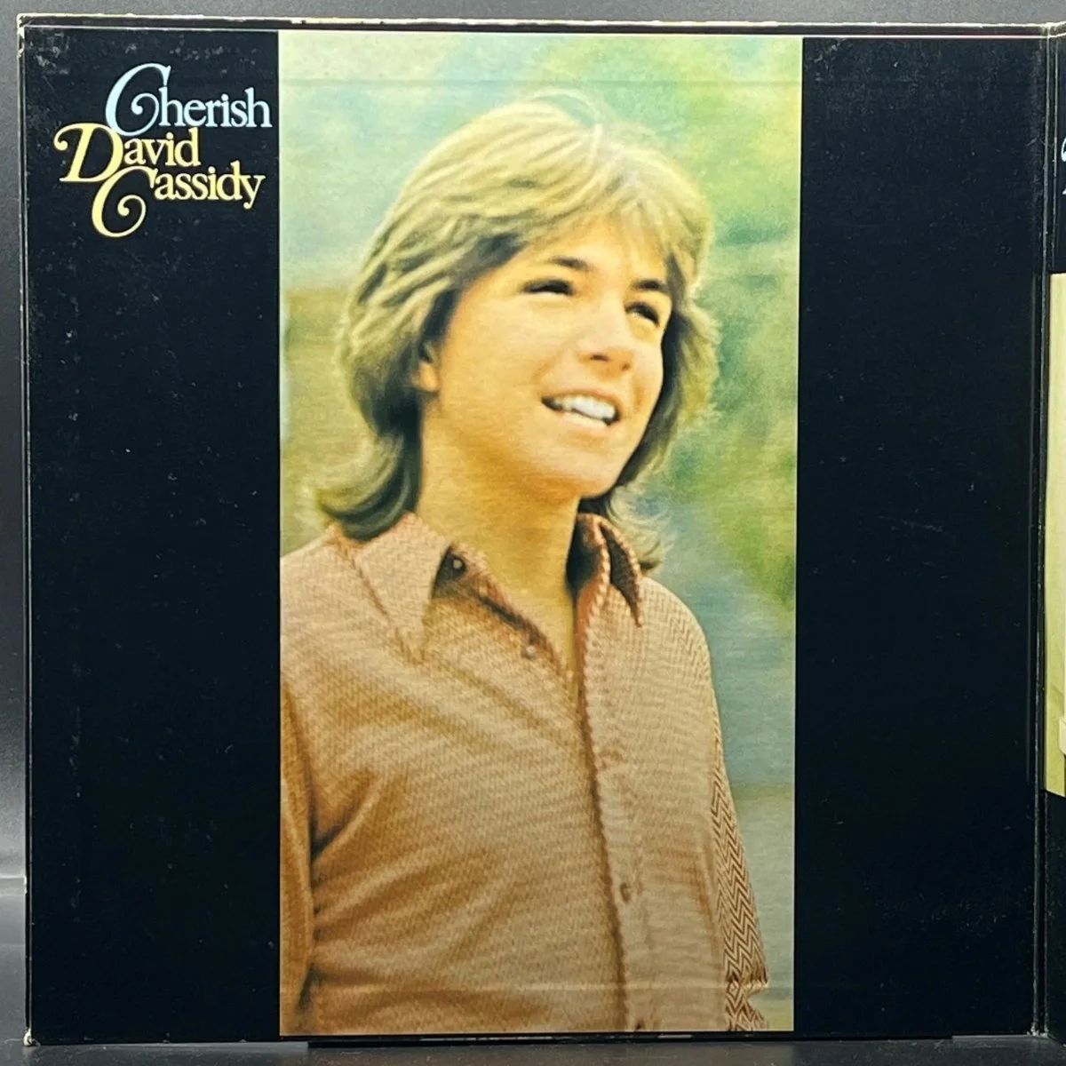 david-cassidy-cherish-775317.jpg