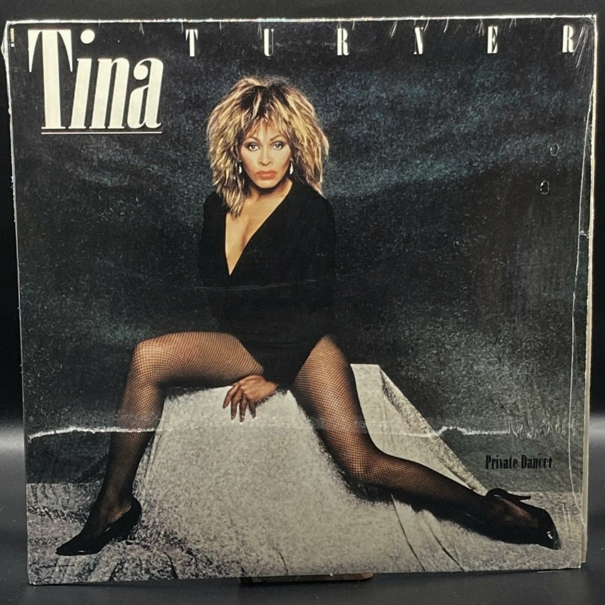 Tina Turner - Private Dancer - Ominous Synths Records