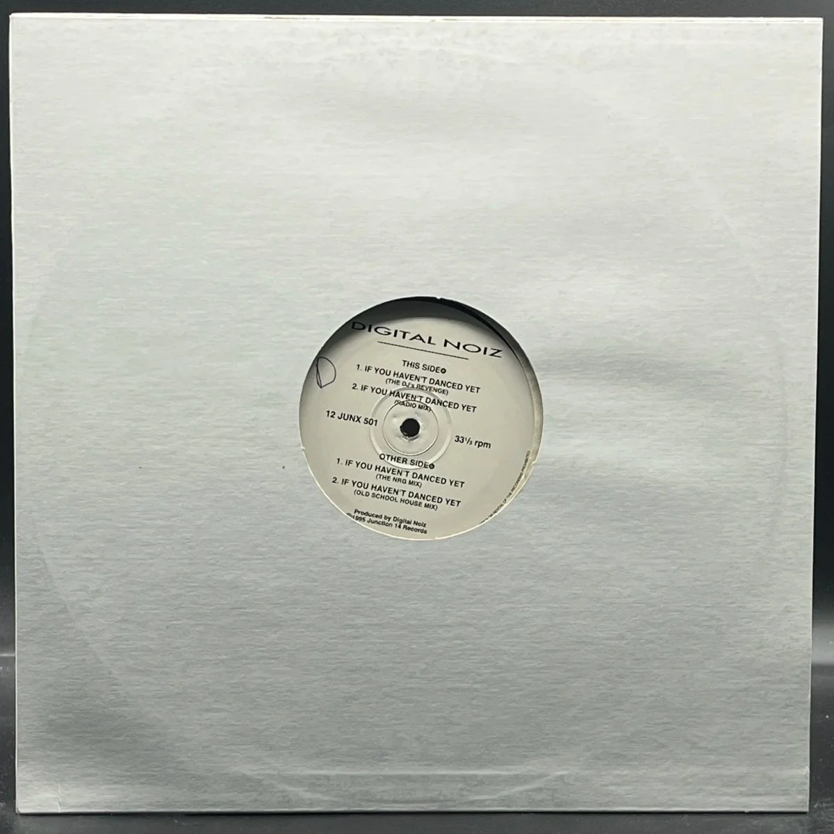 Digital Noiz - If You Haven't Danced Yet (Single)