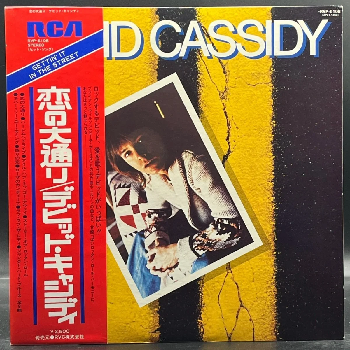 David Cassidy - Gettin' It In The Street