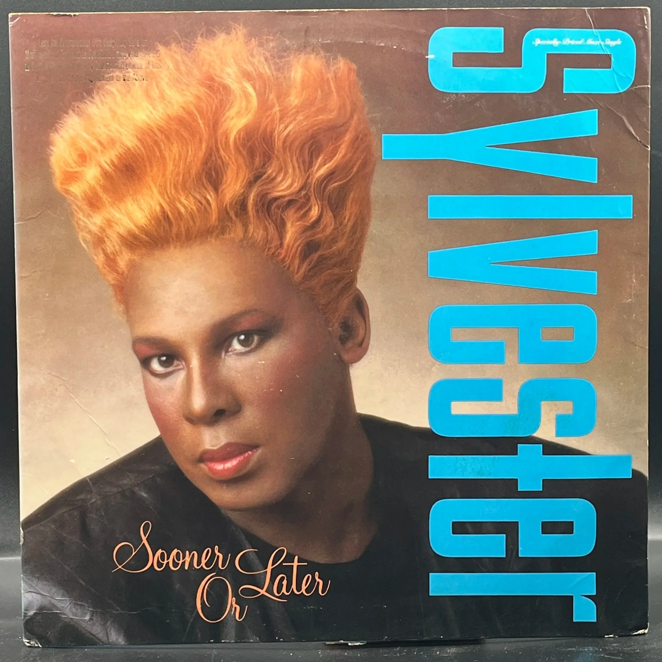 Sylvester - Sooner Or Later (Single)