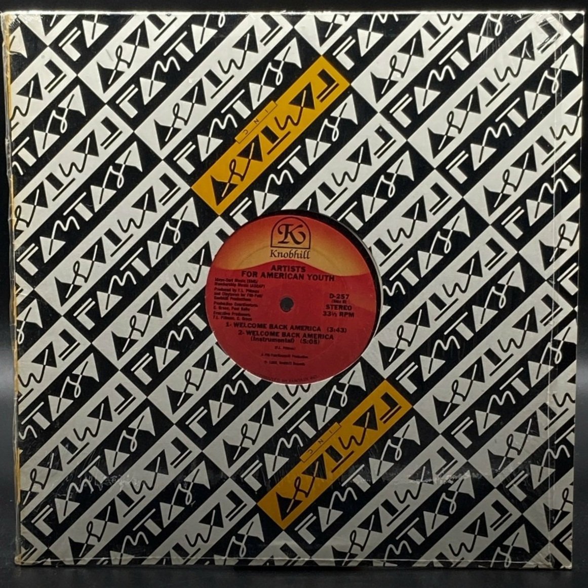 artists-for-american-youth-welcome-back-america-single-687024.jpg