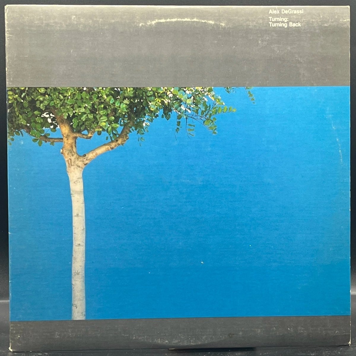 Alex de Grassi - Turning: Turning Back