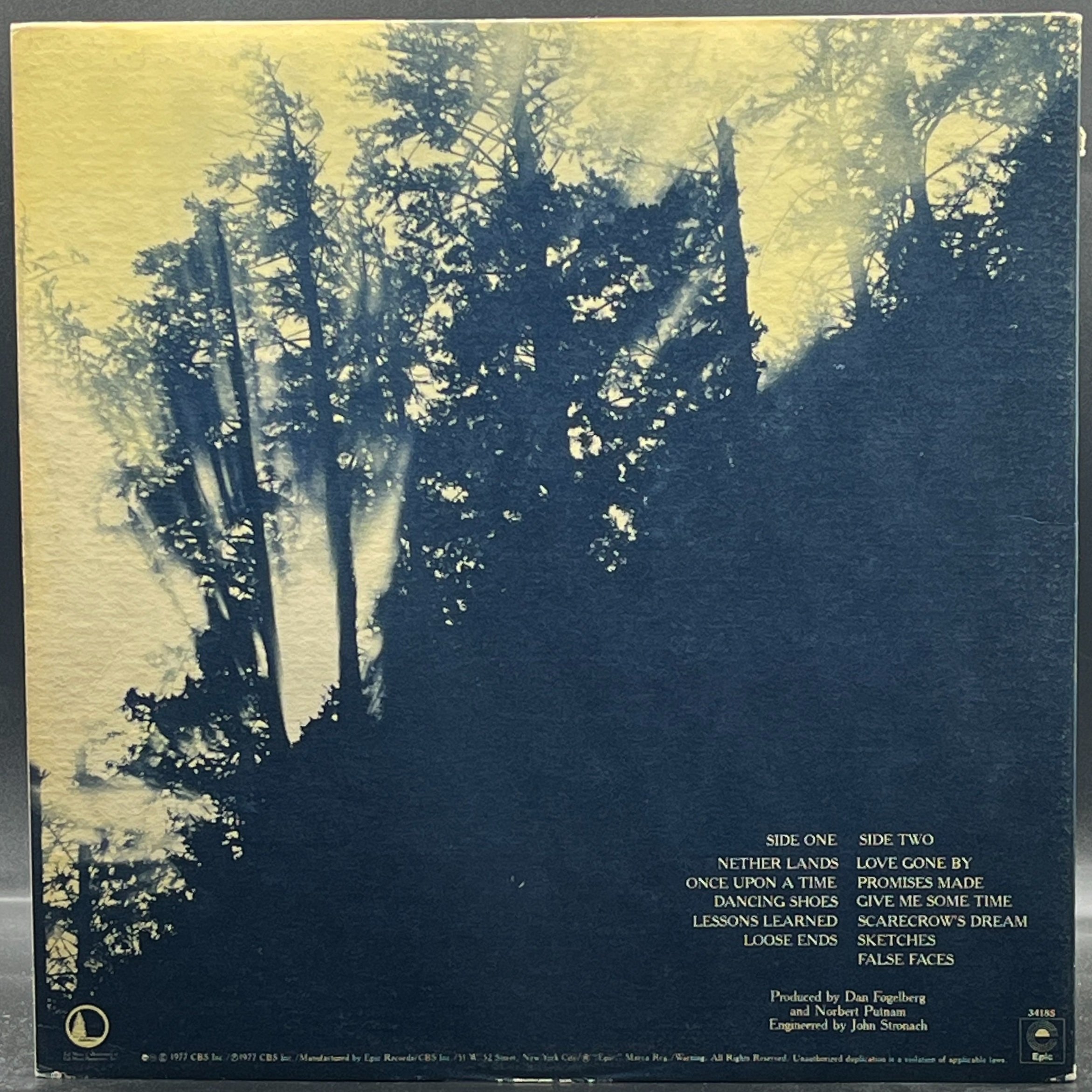 Dan Fogelberg - Nether Lands - Ominous Synths Records