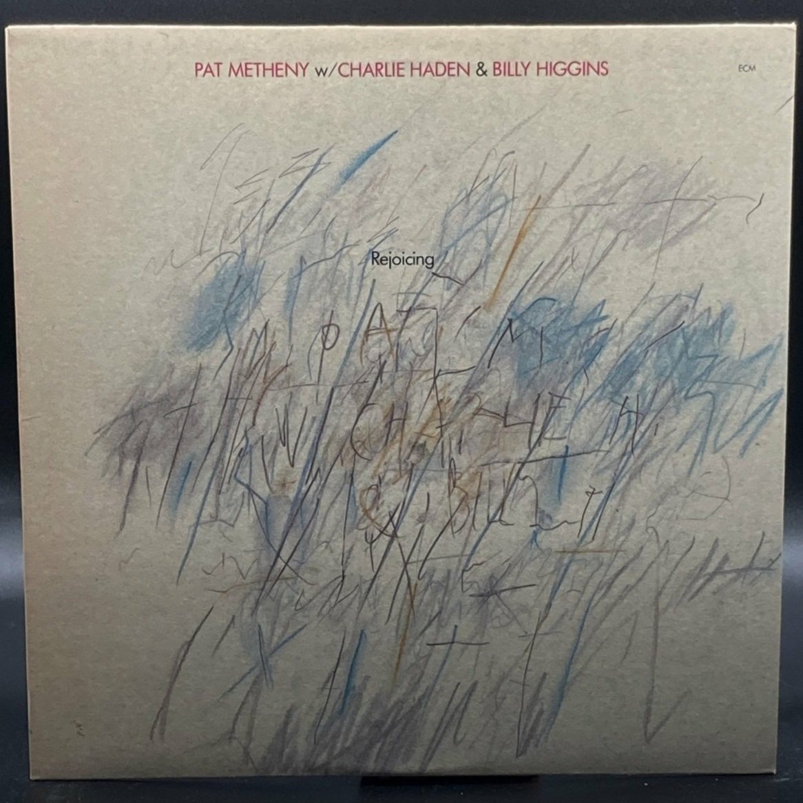 pat-metheny-group-rejoicing-679062.jpg
