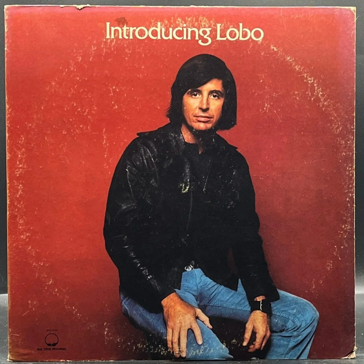 lobo-introducing-lobo-901159.jpg