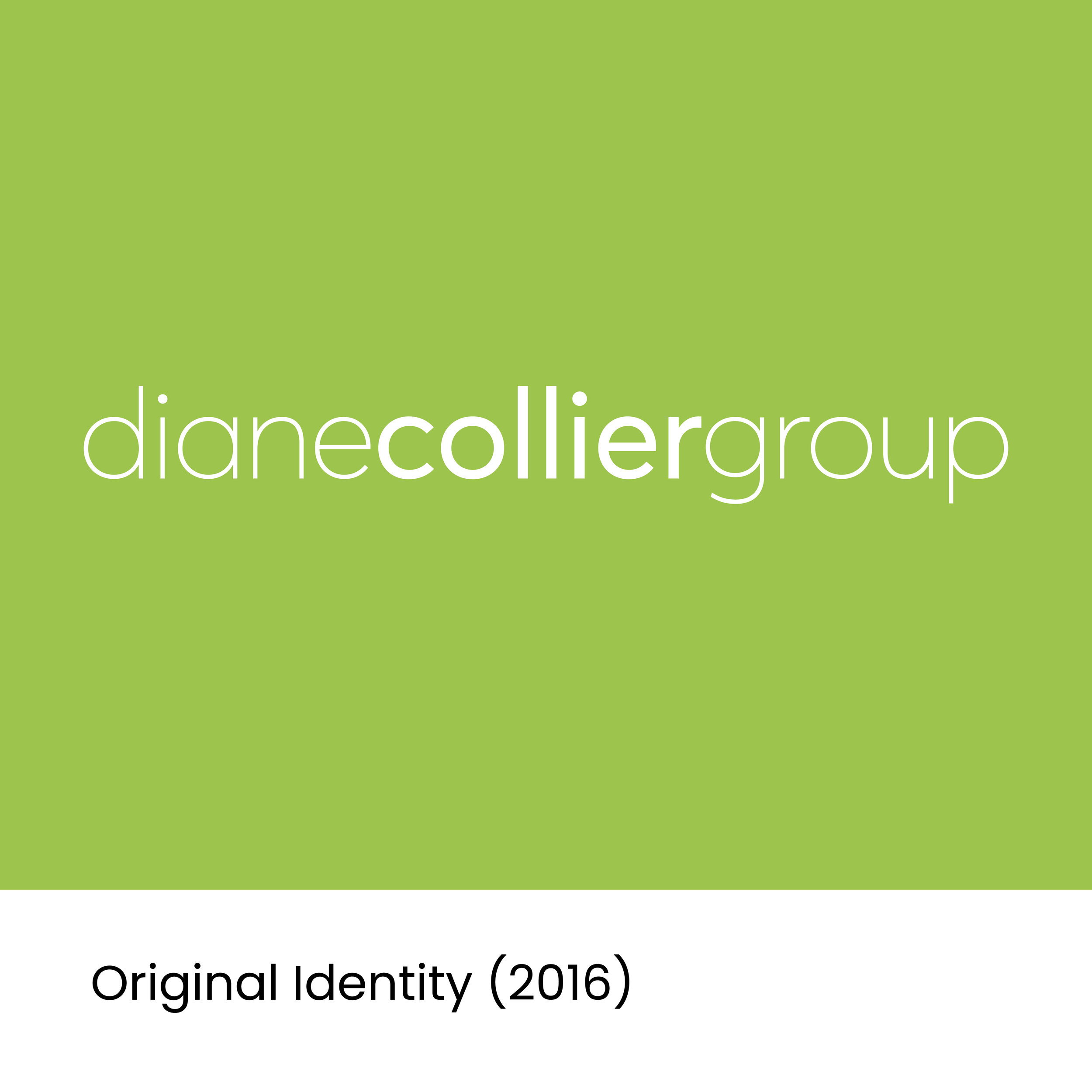Diane Collier Group Brand Refesh_1.jpg