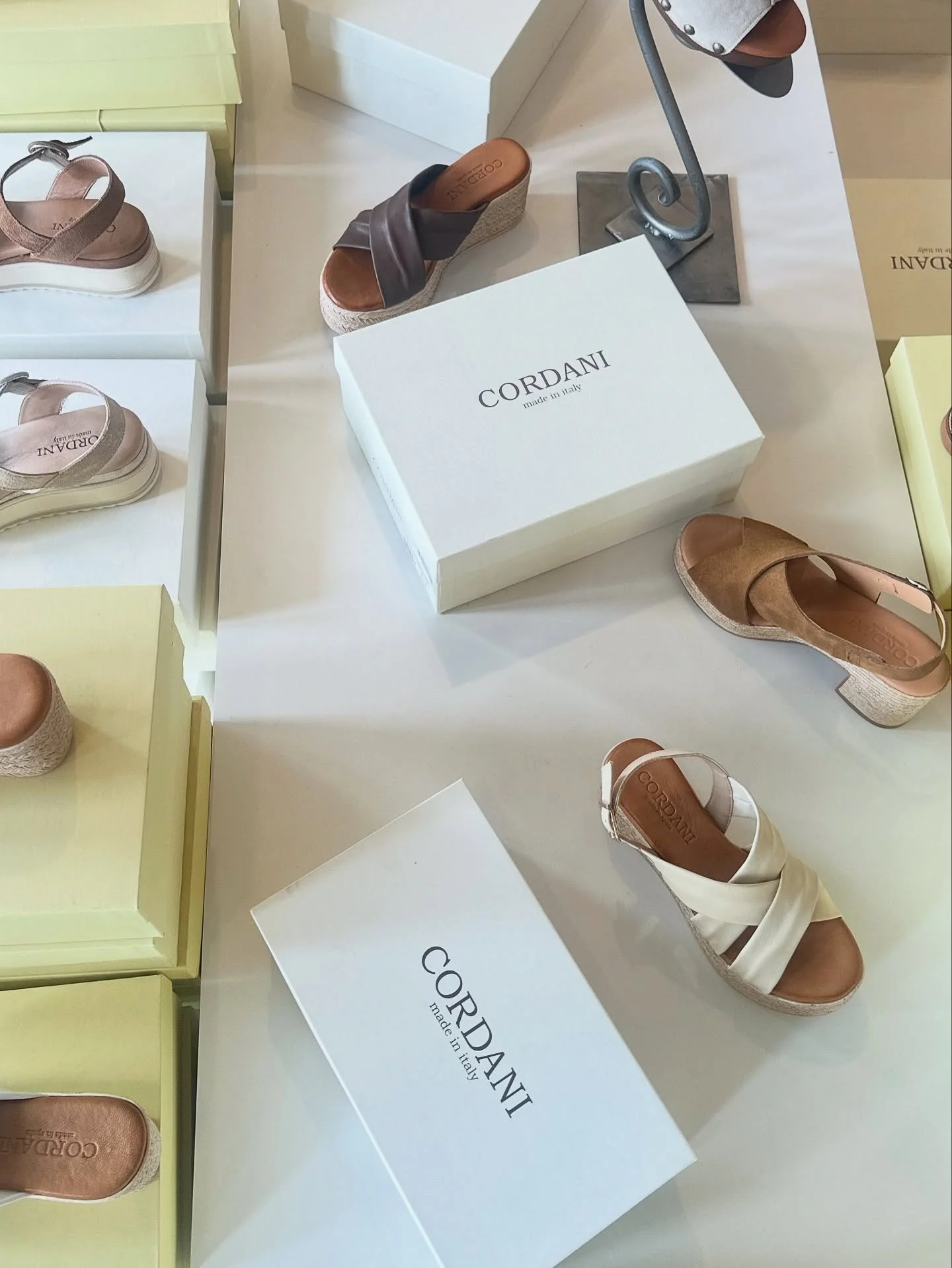 Cordani spring/summer 2026. in store through tomorrow.

@cordani_shoes 

#cordani #trunkshow #deborahkents