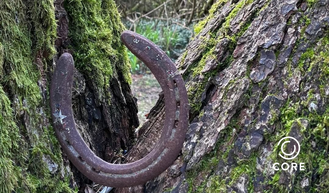 Welcome March Moon ~ Tuesday 3/3