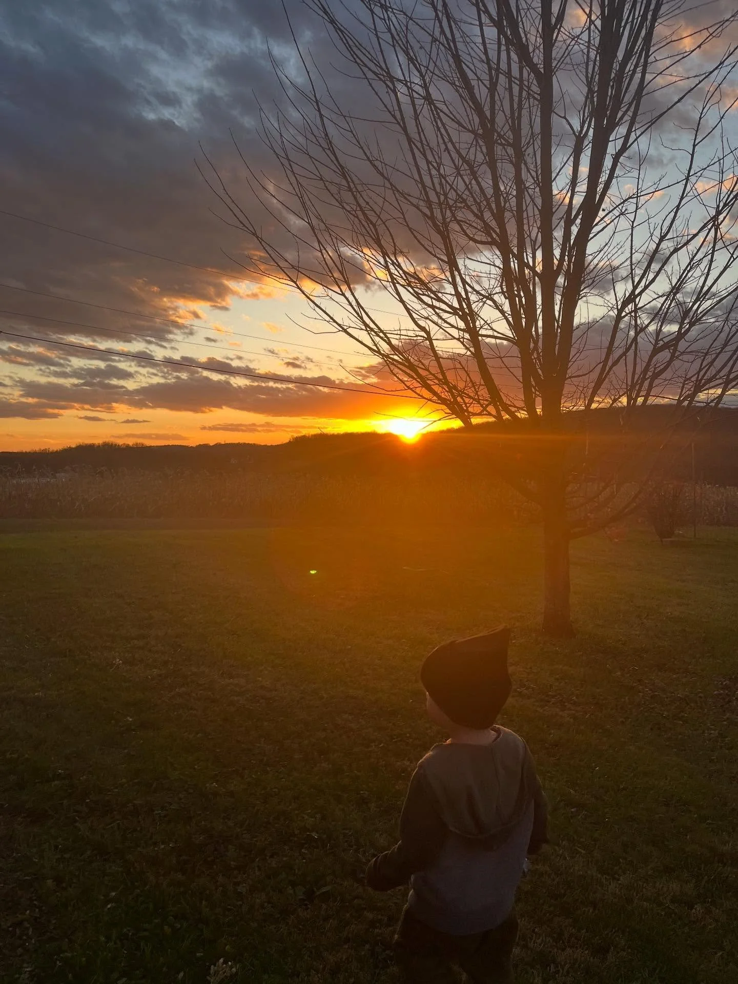 If your body has been asking for a pause, listen.

Our Winter Solstice gathering is your space to reconnect, root down, and remember your own inner wisdom.

That wisdom that was accessible before the fear of the world stole it away from us. 

Let&rsq