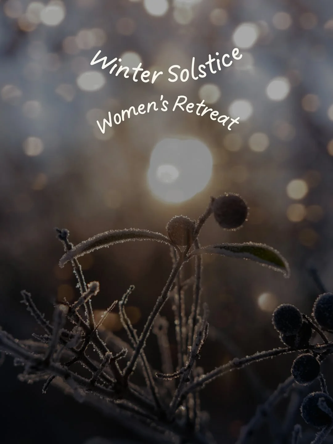 ✨ women&rsquo;s winter solstice retreat ✨

Join us 🌙

Link in bio 🥰