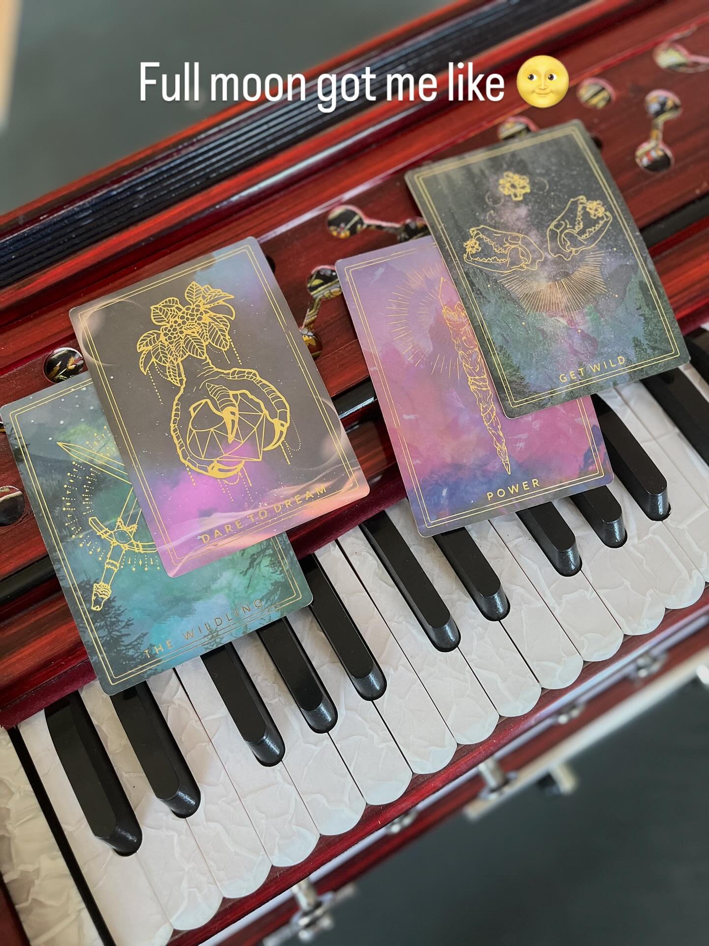 Full moon energy check! What&rsquo;s new for you?