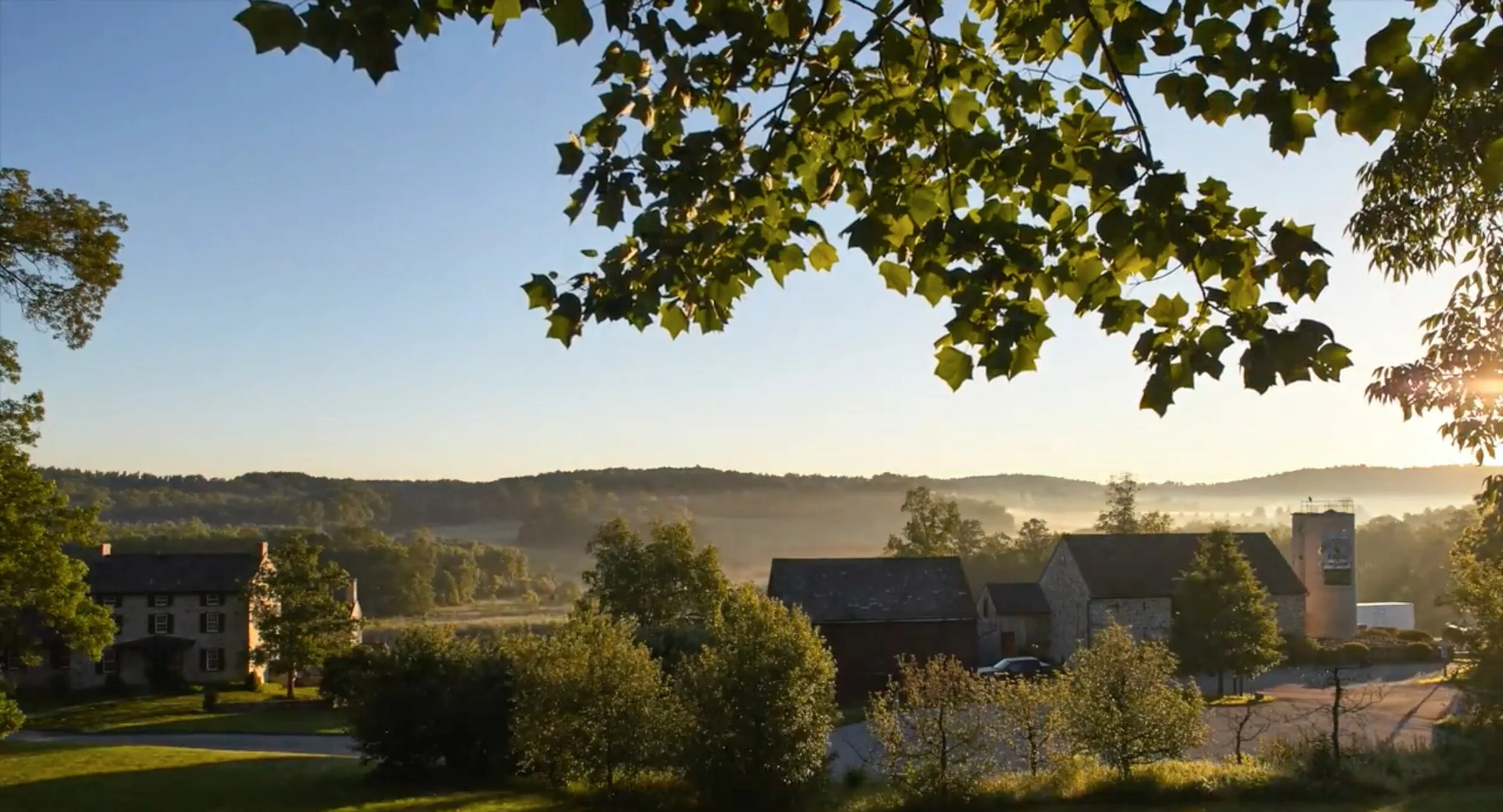 Contact Us Local Meat Wyebrook Farm