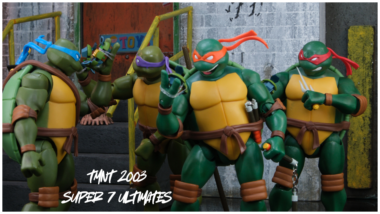 NECA Old Man Raphael Review | Mirage Comics TMNT Action Figure ...