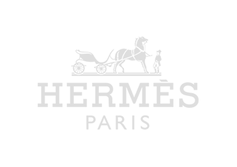 Hermes White Logo.png