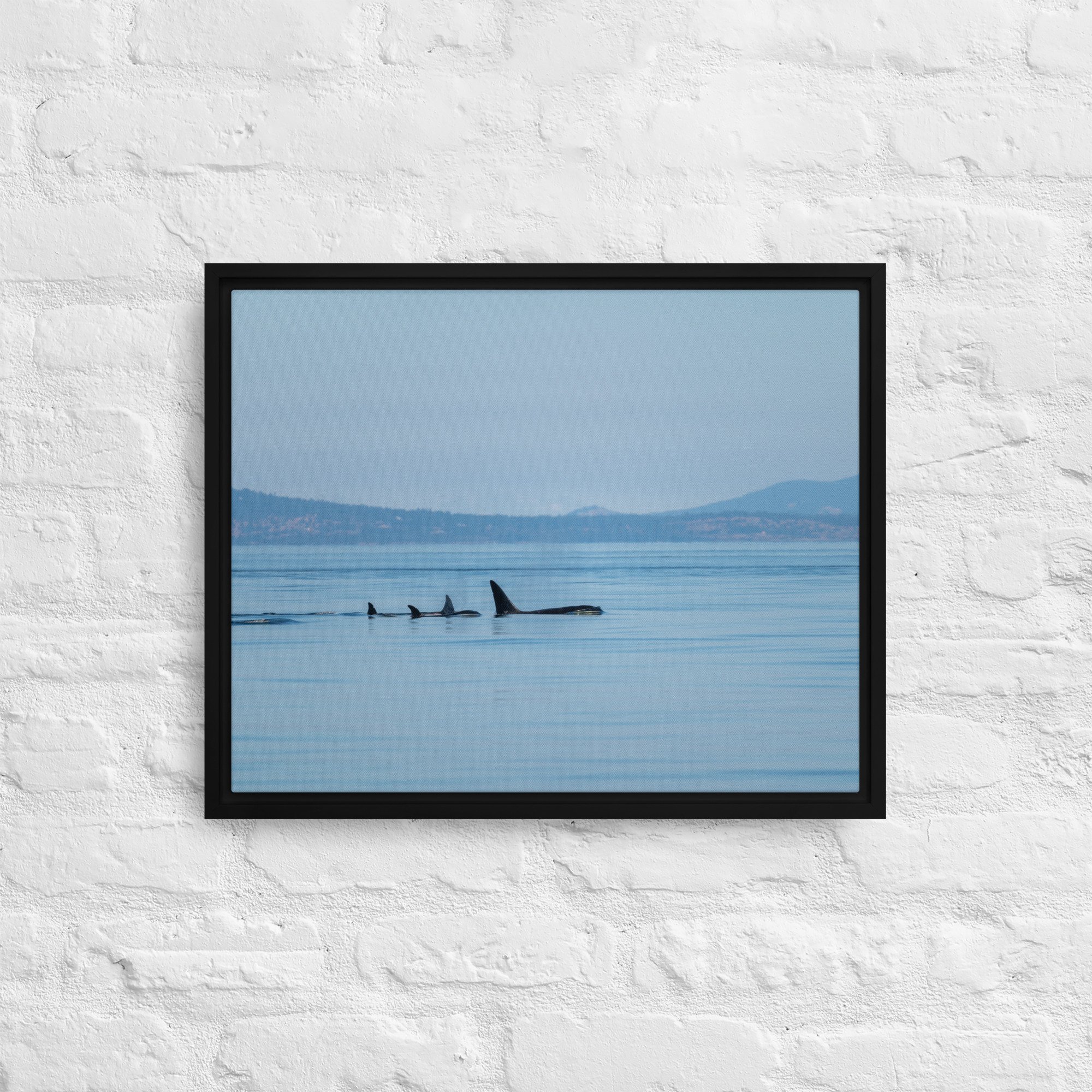 framed-canvas-(in)-black-16x20-front-63806ba15e373.jpg